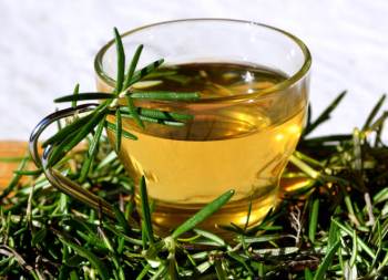 Herbal rosemary tea with green branches in a glass cup.