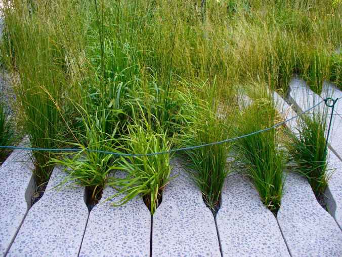 P1160077 - Version 2