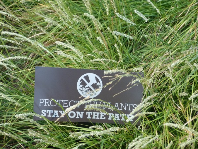 The High Line 19 by IMarie Núñez