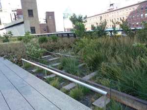 The High Line 20 by IMarie Núñez