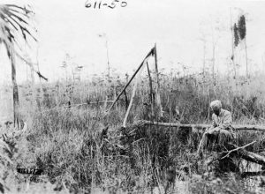 coe_sitting_everglades