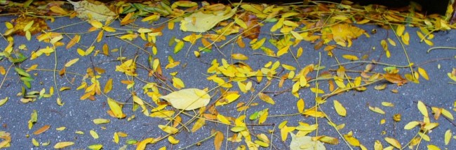 P1060482.JPG – Version 3